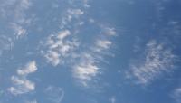 image: Green Sky
