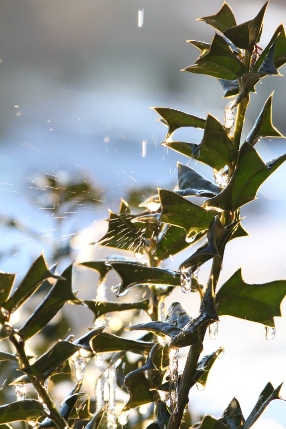 Water Splashing